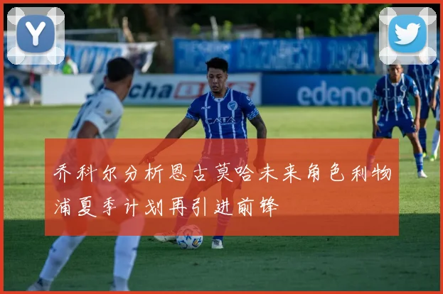 乔科尔分析恩古莫哈未来角色利物浦夏季计划再引进前锋